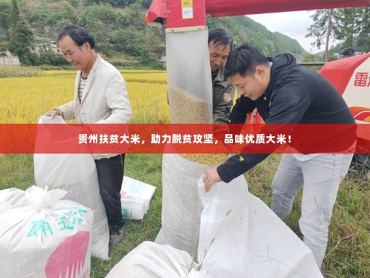 贵州扶贫大米,助力脱贫攻坚,品味优质大米!