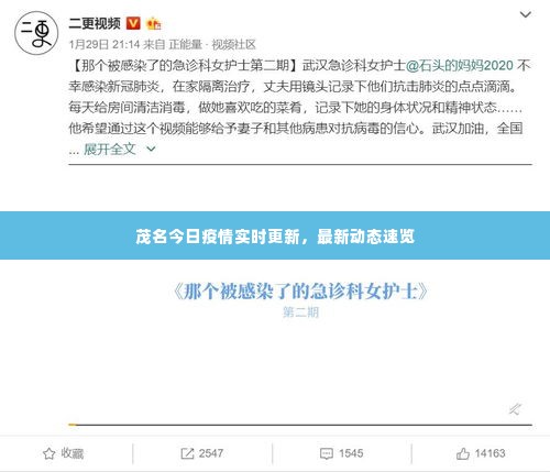 茂名今日疫情实时更新,最新动态速览