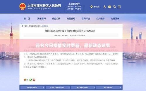 茂名今日疫情实时更新,最新动态速览