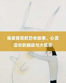 兔宠背后的励志故事,心灵深处的触动与大机密