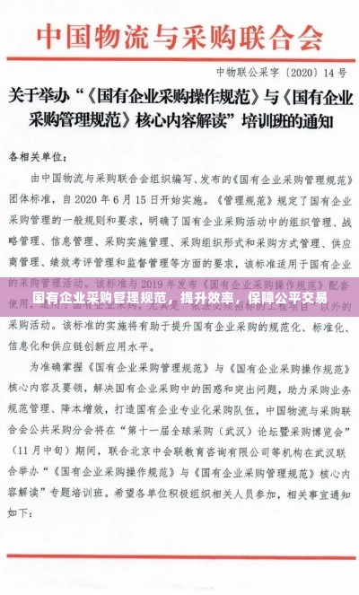 国有企业采购管理规范，提升效率，保障公平交易