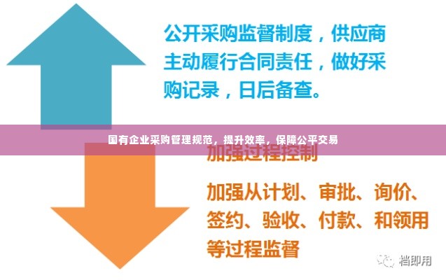 国有企业采购管理规范,提升效率,保障公平交易
