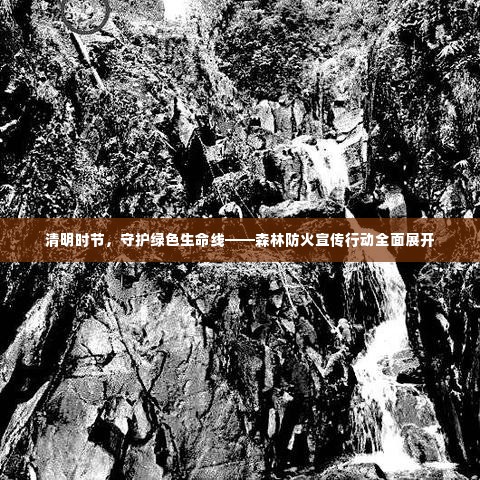 清明时节,守护绿色生命线——森林防火宣传行动全面展开
