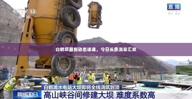 白鹤坝最新动态速递，今日头条消息汇总