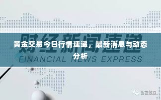 黄金交易今日行情速递,最新消息与动态分析