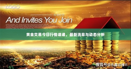 黄金交易今日行情速递,最新消息与动态分析