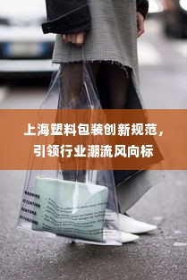 上海塑料包装创新规范,引领行业潮流风向标