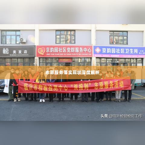 志愿服务落实现状深度解析