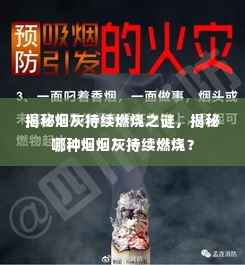 揭秘烟灰持续燃烧之谜,揭秘哪种烟烟灰持续燃烧?