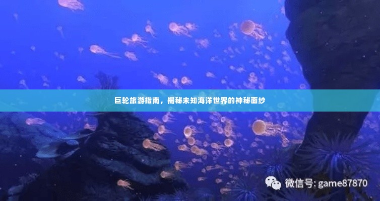 巨轮旅游指南,揭秘未知海洋世界的神秘面纱
