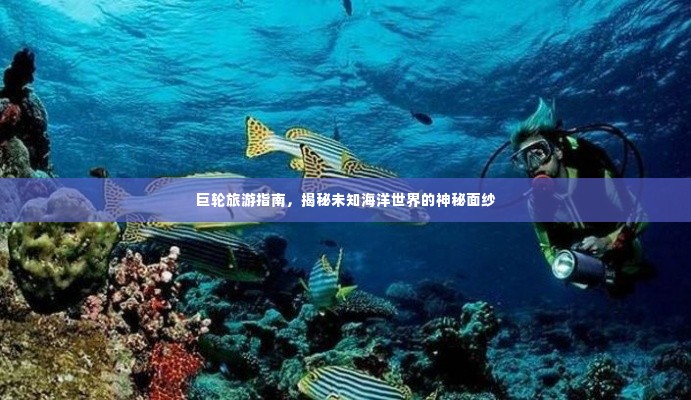 巨轮旅游指南,揭秘未知海洋世界的神秘面纱