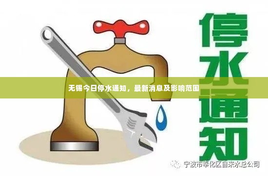 不翼而飞 第3页