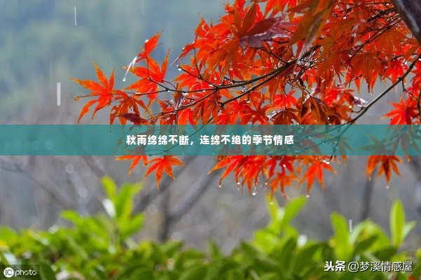 铺张扬厉 第3页