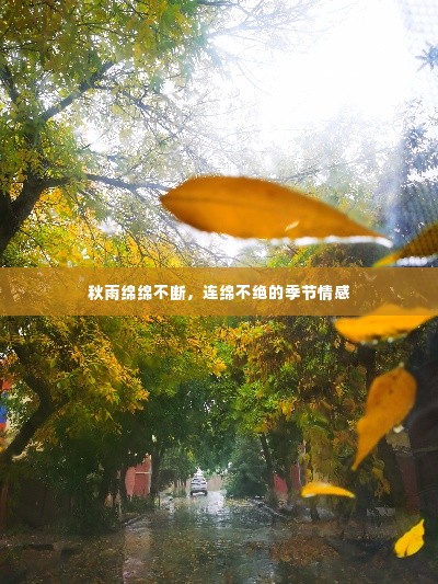 秋雨绵绵不断,连绵不绝的季节情感