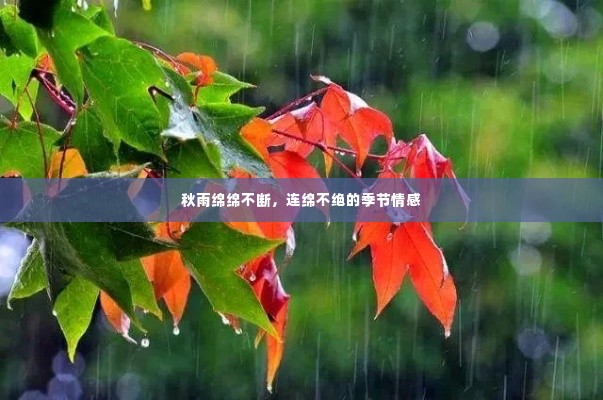 秋雨绵绵不断,连绵不绝的季节情感