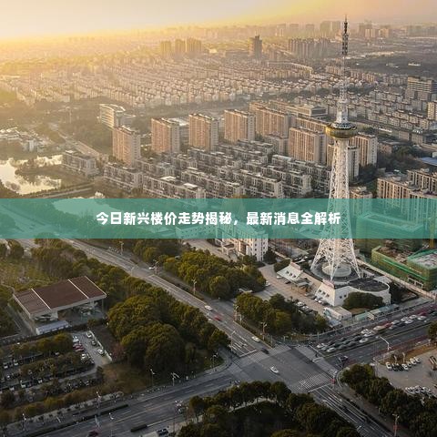 今日新兴楼价走势揭秘,最新消息全解析