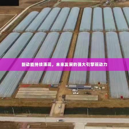 新动能持续涌现,未来发展的强大引擎驱动力