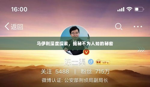 马伊利深度探索,揭秘不为人知的秘密