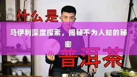 马伊利深度探索,揭秘不为人知的秘密