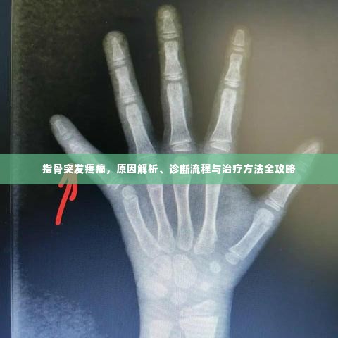 指骨突发疼痛,原因解析、诊断流程与治疗方法全攻略
