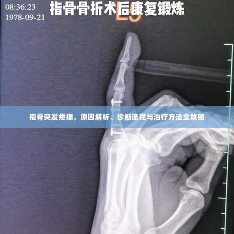 指骨突发疼痛，原因解析、诊断流程与治疗方法全攻略