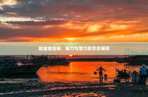 防城港探秘,魅力与活力的交织展现