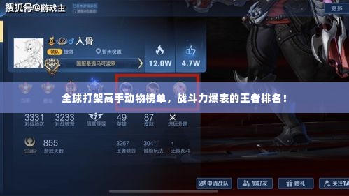 飞龙在天 第3页