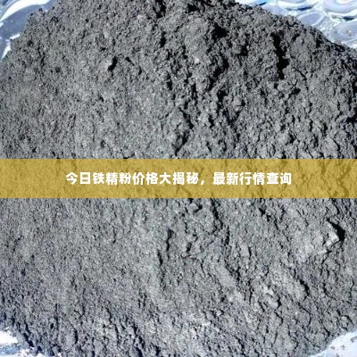 今日铁精粉价格大揭秘,最新行情查询