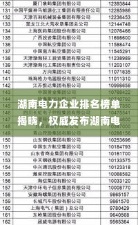湖南电力企业排名榜单揭晓,权威发布湖南电力公司的排名榜单