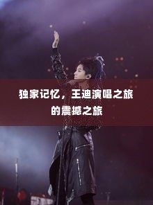 独家记忆，王迪演唱之旅的震撼之旅