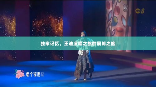 独家记忆,王迪演唱之旅的震撼之旅