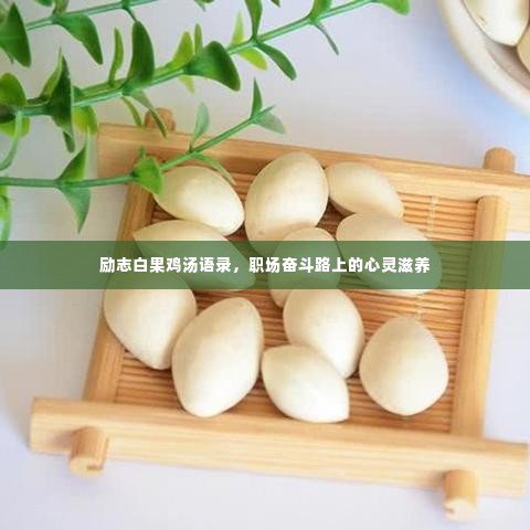 温文尔雅 第3页