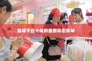 陈建平在十堰的最新动态揭秘