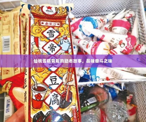仙桃雪糕背后的励志故事,品味奋斗之味