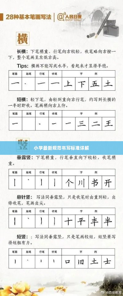 小学最新规范书写标准详解