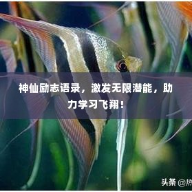 神仙励志语录,激发无限潜能,助力学习飞翔!