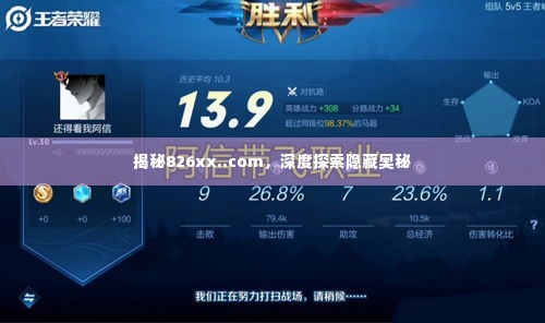 揭秘826xx..com,深度探索隐藏奥秘