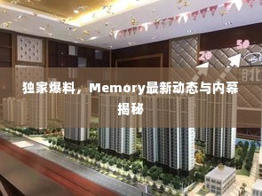 独家爆料，Memory最新动态与内幕揭秘