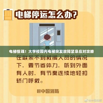 电梯惊魂!大学校园内电梯突发故障紧急应对攻略