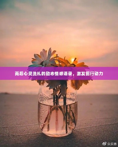 雨后心灵洗礼的励志情感语录,激发前行动力