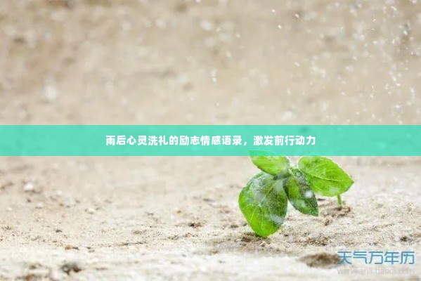 雨后心灵洗礼的励志情感语录,激发前行动力