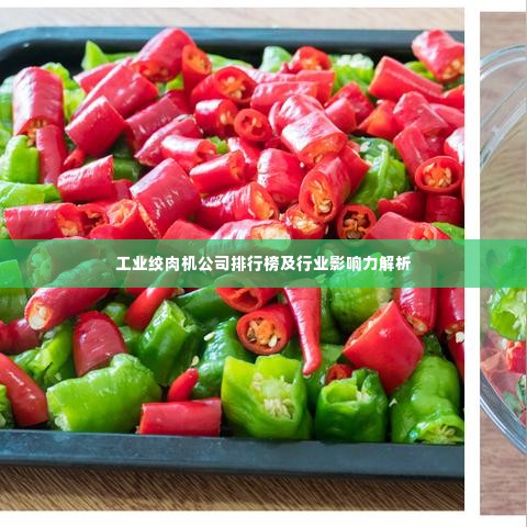 工业绞肉机公司排行榜及行业影响力解析