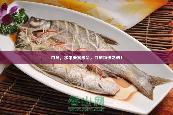 白鱼，水中美食珍品，口感绝佳之选！