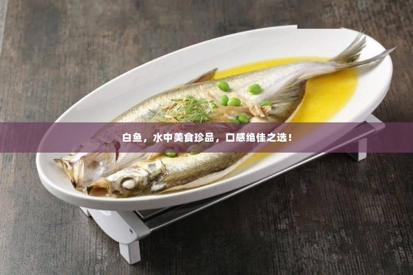 白鱼,水中美食珍品,口感绝佳之选!