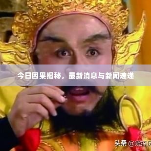 今日因果揭秘,最新消息与新闻速递