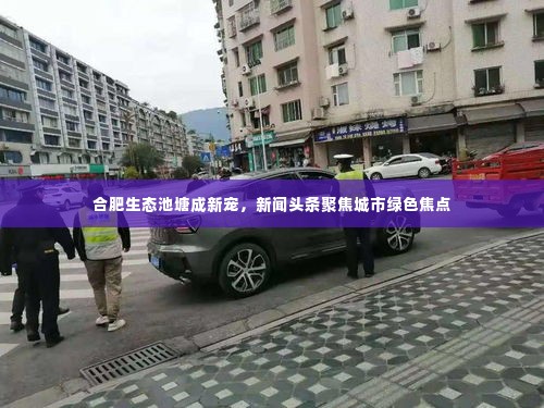 合肥生态池塘成新宠,新闻头条聚焦城市绿色焦点