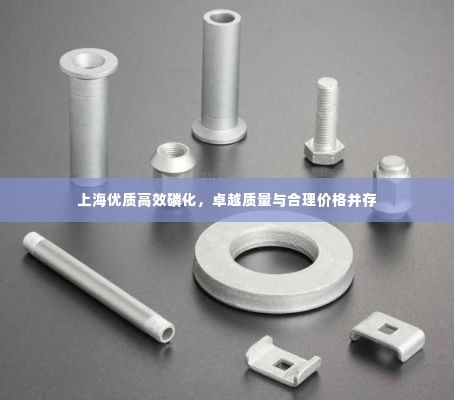 上海优质高效磷化，卓越质量与合理价格并存