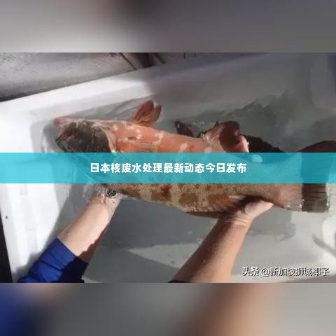 日本核废水处理最新动态今日发布