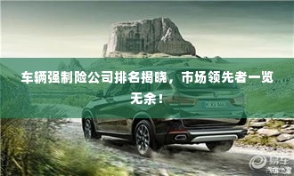 车辆强制险公司排名揭晓,市场领先者一览无余!