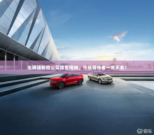 车辆强制险公司排名揭晓,市场领先者一览无余!